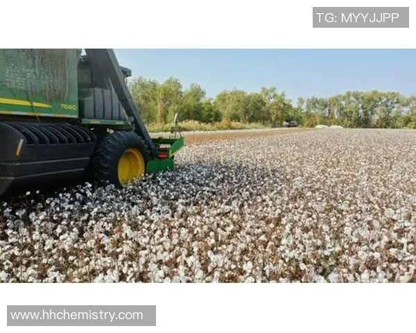 长运娱乐自动化重构助力行业升级与创新发展的新路径探索